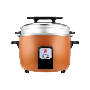 三角牌电饭煲10L