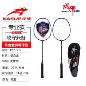 战甲羽毛球拍ZJ539