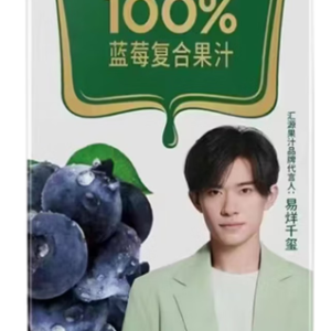 汇源果汁100%蓝莓复合果汁1L