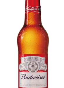 百威啤酒玻璃瓶330ml