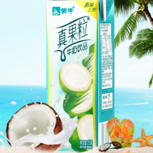 蒙牛真果椰子