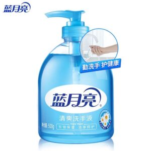蓝月亮清爽洗手液500g